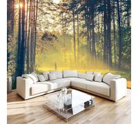 Bosque Papel Pintado 366 x 254 cm 3D Árbole Mural de pared Fotomurales Tejido No Tejido Fuera De La Ventana Papel Tapiz Grande Murales Fotográfico Moderno Decoración de Paredes W-438