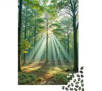 Bosque Rayos de luz Solar Rompecabezas 1000 Piezas Adultos Ilustrados Coloridos Papel Regalo Familiar Juego Difícil 38x26cm/1000pcs