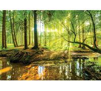 Bosque Verde Paisaje Pintado Pared Dormitorio Mural y Gratis Adhesivo Fotomural