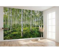 368x254cm Gigante Papel Pintado Mural Cuarto de Estar Sunny Día Bosque Árboles
