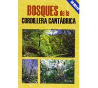 Bosques de la cordillera Cantábrica (MEJORES EXCURSIONES POR...)