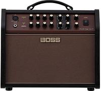 Boss Acoustic Singer Live LT