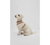 BOSS Arnés para perros de piel reciclada - StyleDog Recycled Leather Harness, B2FDCH011 Beige L