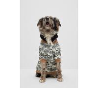BOSS Cazadora bomber para perros - StyleDog Bomber Jacket, B2FDAJ022 Beige claro S