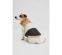 BOSS Chaqueta acolchada para perros reversible - StyleDog Reversible Puffer Jacket, B2FDAJ004 Negro XL