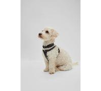 BOSS Collar para perros de piel - StyleDog Recycled Leather Collar, B2FDCC010 Negro M