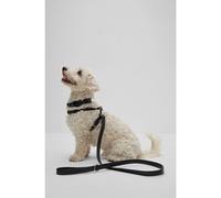 BOSS Correa para perros de piel - StyleDog Recycled Leather Leash, B2FDCL009 Negro S