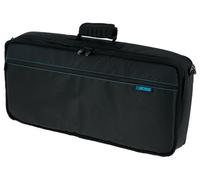 Boss GT-100 Bag