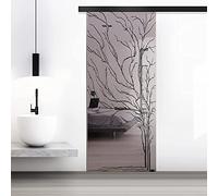 BOSS - Puerta corredera de cristal negra para árbol modelo de interior, 90 x 215 cm, 8 mm, vidrio de seguridad de bronce, nano revestimiento negro, kit completo de herramientas, riel colgante