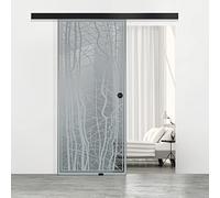 BOSS - Puerta corredera de cristal negra para interior modelo Manhattan, 60 x 215 cm (disponible 60/80/90 cm) 8 mm, cristal gris, nano revestimiento incoloro, kit completo de herrajes para colgar (60