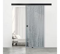 BOSS - Puerta corredera de cristal negra para interior modelo Manhattan, 80 x 215 cm (disponible 60/80/90 cm) 8 mm, cristal gris, nano revestimiento incoloro, kit completo de herrajes para colgar (80