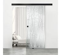 BOSS - Puerta corredera de cristal negra para interior modelo Manhattan, 85 x 215 cm (disponible 60/85/95 cm) 8 mm, cristal transparente, nano revestimiento incoloro, kit completo de herrajes para