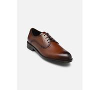 BOSS Tayil_Derb_bunl 42 Marrón