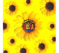 Bossa Nova Magic -Live in Rio