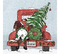 Boston International IHR - Servilletas de papel de 3 capas de Navidad, tamaño de almuerzo de 20 unidades, diseño de gnomo Ho Ho