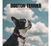 Boston Terrier 2026 Calendar: Playful Companion Dog Views | Monthly Pet Scenes | Square Format with U.S. Holidays 8.5x8.5 in