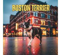 Boston Terrier 2026 Calendar: Playful Companion Dog Views | Monthly Pet Scenes | Square Format with U.S. Holidays 8.5x8.5 in