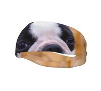 Boston Terrier Bokeh Perros Mascotas Boston Terrier Cintas para el cabello para hombres y mujeres Diadema para correr Diadema que absorbe el sudor Gimnasio