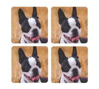 Boston Terrier Bokeh Perros Mascotas Boston Terrier,Posavasos Cuadrados de Corcho MDF, Almohadilla para Tazas, Juego de 4 Posavasos para Bebidas