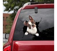 Boston Terrier - Calcomanías Para Coche, Diseño De Perro, Paquete De 2, Pegatinas Realistas De Boston Terrier Para Ventanas De Coche, Paredes, Serie 62, Tamaño 10.0 X 10.0 In