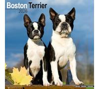 Boston Terrier Calendar 2026 Square Dog Breed Wall Calendar - 16 Month
