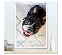 Boston Terrier der Hund 2026 (hochwertiger Premium Wandkalender 2026 DIN A2 hoch), Kunstdruck in Hochglanz: Ein schöner Kalender für Hundefreude und Liebhaber von Boston Terrier