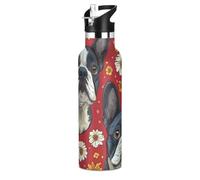 Boston Terrier Dog Daisy - Botella de agua de acero inoxidable con tapa con pajilla, botella aislada para niños y niñas, deportes, 20 onzas líquidas