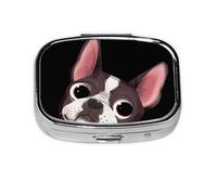boston terrier naturaleza, Pastillero cuadrado para bolsillo o monedero, pequeño contenedor de pastillas, organizador de pastillas de viaje