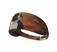 Boston Terrier Otoño Bokeh Perros Perros,Banda Deportiva para el Sudor Unisex, Multiusos, elástica para el Pelo