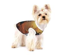 Boston Terrier Otoño Bokeh Perros Perros,Camiseta de algodón sin Mangas para Mascotas, Chaleco Transpirable, Suave y elástico para Cachorros,L