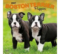 Boston Terrier Puppies - Boston Terrier Welpen 2027 - 16-Monatskalender: Original BrownTrout-Kalender [Mehrsprachig] [Kalender] (Boston Terrier ... | BrownTrout | Animals Dog Breeds Puppy)