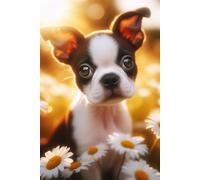 Boston Terrier Puppy face Notebook - Large 6 x 9 inches - 127 Pages