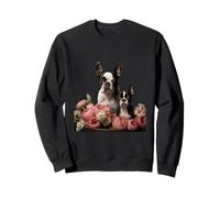 Boston Terrier Sudadera