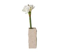 Botané Flor sintética Amaryllis Blanco. 73 cm