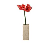 Botané Flor sintética Amaryllis Rojo oscuro. 72 cm