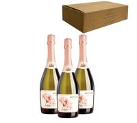 Botani Muscat Espumoso - Para Disfrutar en Celebraciones y con los Tuyos - Pack 3 Botellas 75cl