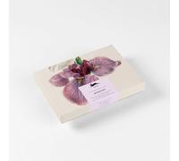 Botanical: Correspondence Set