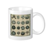 Botanical - Juego de 1 taza con impresión de identificación de suculentas, póster retro educativo, cerámica, amarillo, verde, decorativo, peso ligero, para exteriores, escuela, camping, dormitorio