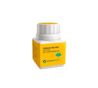 Botanicapharma Ginkgo Biloba 500 mg 60 Comprimidos. Apto para veganos, sin lactosa, sin gluten. Para la Memoria y la concentración.