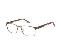Botaniq Bio-1121 Brillenfassung Marco de prescripción Eyewear, Gris, 56 para Hombre
