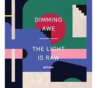 Botany - Dimming Awe: The Light Is Raw [VINYL] [Vinilo]