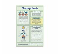 Botany Learning Poster For Biology Classroom Science Decor | Comprehensive Plant Poster Supports Teachers In Explaining Cellular Respiration(Unframed,16x24inch(40x60cm))