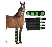 Botas de hielo de caballo para lesiones de caballo, dolor muscular, enfriar las piernas, abrigos fríos para hock, tobillo, rodilla, piernas, botas y pezos, negro verde, 1 par (2 paquetes)