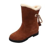 Botas de invierno para mujer, cálidas, botas de nieve forradas, tacón bajo, antideslizantes, para uso diario, ultra cómodos, zapatos descalzos, moda, versátiles, borlas, botas de fiesta de vacaciones