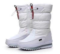 Botas de Nieve para Mujer con Cremallera Invierno Construido para la Comodidad, Invierno II Botas Impermeables Forradas de Piel Frosty Warm Antideslizante,B,38