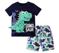 BOTCAM Camiseta de manga corta para niños pequeños con estampado de dinosaurios camiseta tops pantalones cortos niño trajes, Negro , 2-3 años