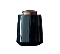bote de te Tarro de cerámica for almacenamiento té suelto con tapa sellada doble aleación