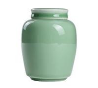 Bote de té, tarro de cerámica, Recipiente de cerámica for almacenamiento, pequeño frasco sellado for condimentos cocina(Green)