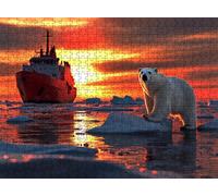 Bote Oso Puzzle de 1000 Piezas, Juego de Mesa Familiar de Madera - Rompecabezas Adultos para Toda La Familia, Rompecabezas Educativo DIY y Antiestrés - Incluye Póster de Referencia, 75 x 50 cm f0-99