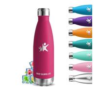 Botella Agua Acero Inoxidable, 500ml Botella Termica, sin BPA, Cantimplora Acero Inoxidable, Aislamiento al Vacío, Botella Aluminio, A Prueba de Fugas, Botella Agua para Escuela, Cafetería, Oficina